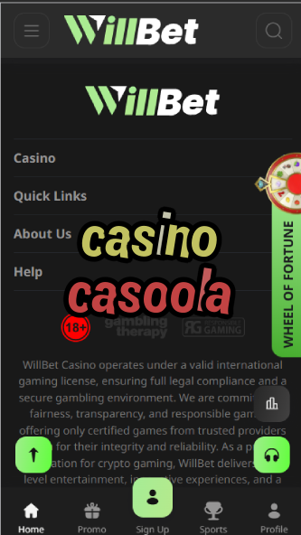 Casino Casoola - Popular Online Casino Brand-casinoorder.vip